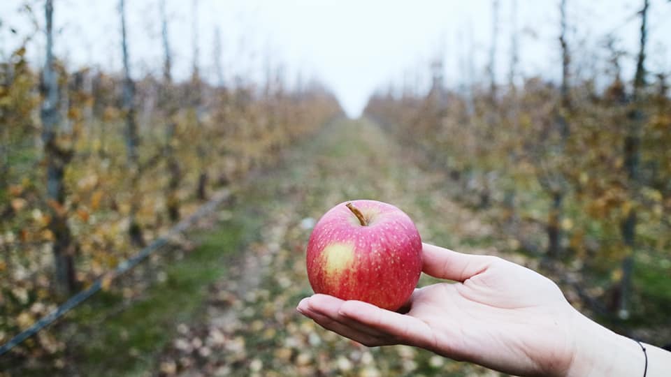 Zdjęcie z konferencji