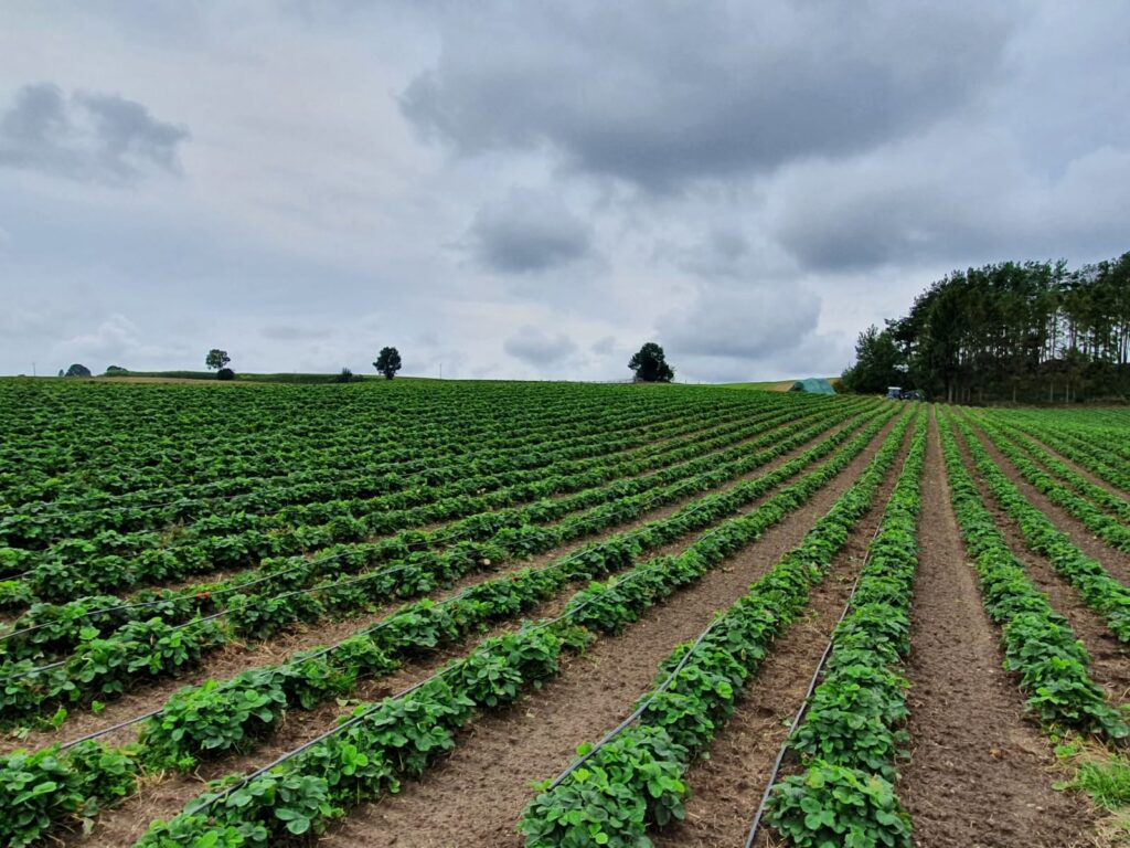 Zdjęcie z konferencji