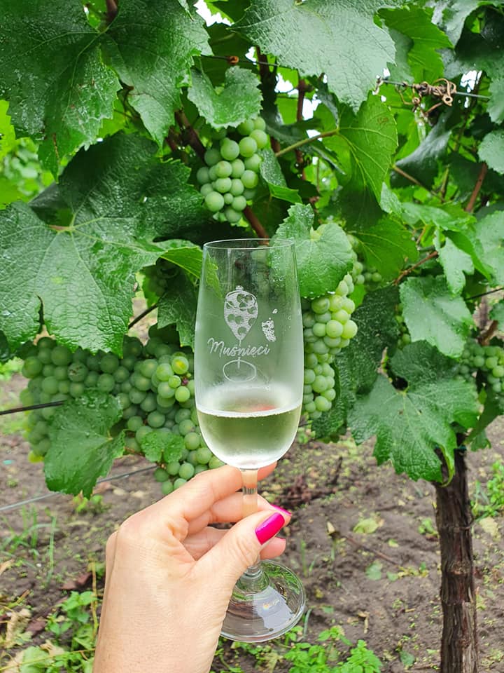 Zdjęcie z konferencji